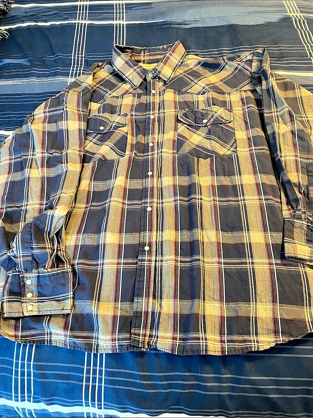 Bit & Bridle Button Down Longsleeve Shirt  4X